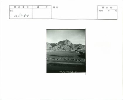 远山田野零星树木风景.jpg