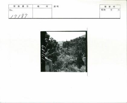 远山石径森林景观.jpg