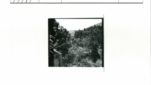 远山石径森林景观.jpg