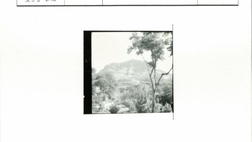 远山绿树自然风光.jpg