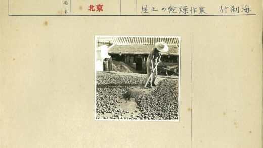 采摘葡萄的宽檐帽人.jpg