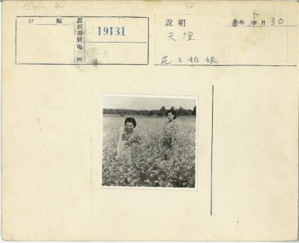 野花地中的微笑与花.jpg