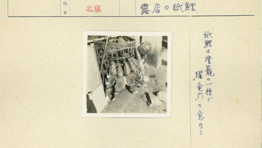 金属篮子挂鱼饰与球形灯笼.jpg