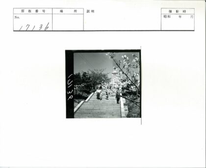 钟楼前石阶春色.jpg