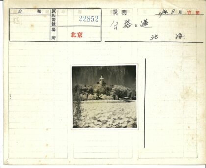 钟楼山景与睡莲池塘.jpg