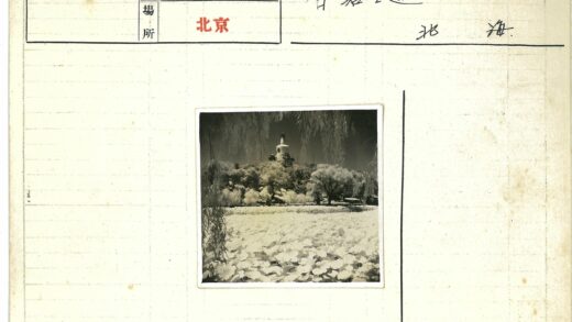 钟楼山景与睡莲池塘.jpg