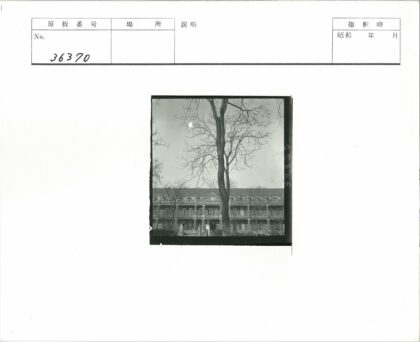 钟楼雕像高层建筑与枯树.jpg