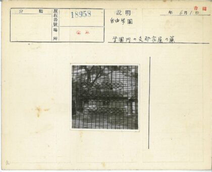 铁丝网后的房屋与绿树.jpg