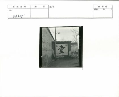铁丝网围墙与路灯老树街景.jpg