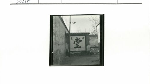 铁丝网围墙与路灯老树街景.jpg