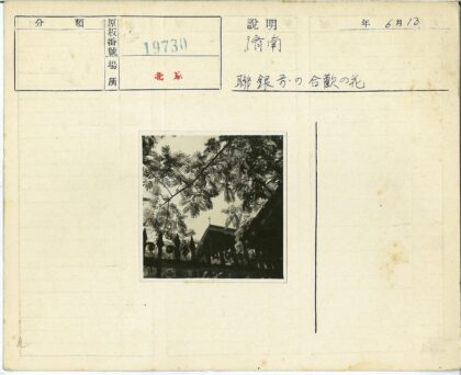 铁栅栏与树影中的建筑轮廓.jpg