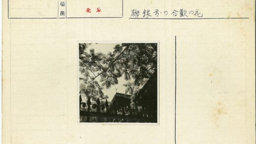 铁栅栏与树影中的建筑轮廓.jpg