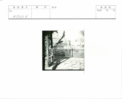 铁栏杆天井池塘枯树建筑.jpg