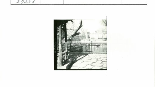 铁栏杆天井池塘枯树建筑.jpg