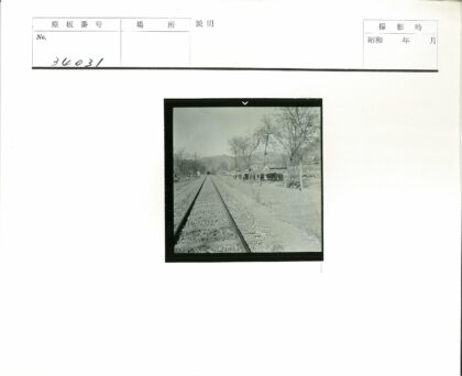 铁路延伸山间牛群树木晴空.jpg
