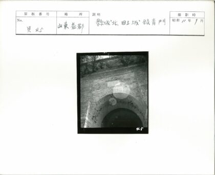 铭牌拱砖古树历史建筑.jpg