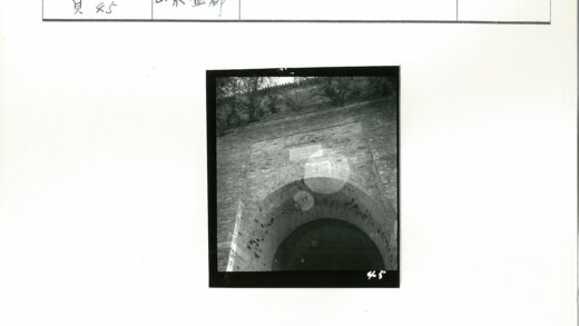 铭牌拱砖古树历史建筑.jpg