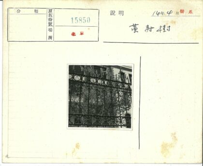 锻铁栅栏与绿叶建筑窗景.jpg