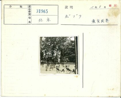 阳光下拉黄包车的男人.jpg