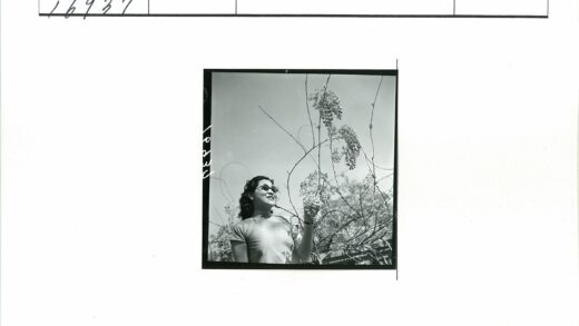阳光下的女人与开花树枝.jpg