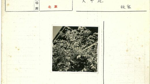 阳光下的树林与古老建筑.jpg