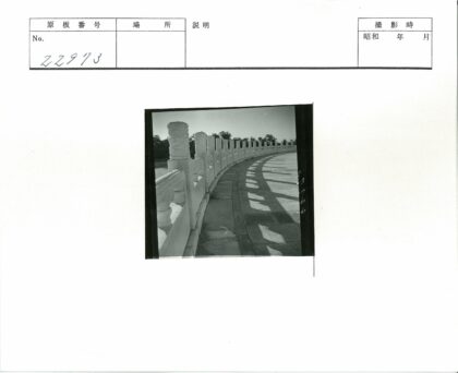 阳光下的白色石柱弯曲小路.jpg
