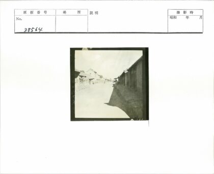 阳光下的空荡老街.jpg