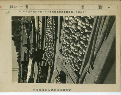 阳光下的蔬菜木车.jpg