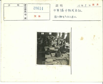 阳光办公室工作场景.jpg
