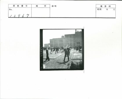 阳光大楼前户外运动.jpg