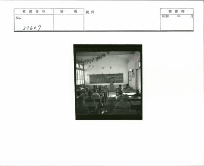 阳光教室黑板与垂吊植物.jpg