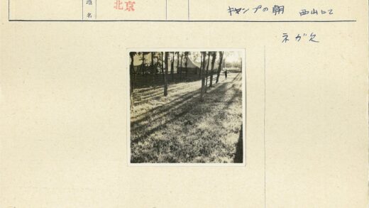阳光斑驳树林中的大帐篷.jpg