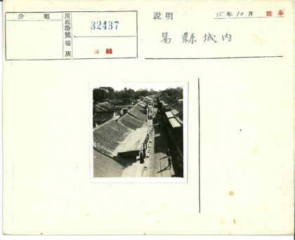 阳光树影下的瓦房街景.jpg