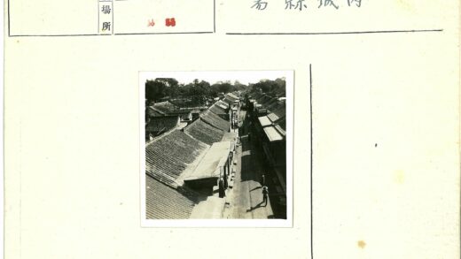 阳光树影下的瓦房街景.jpg