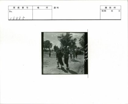 阳光树影土路行人.jpg