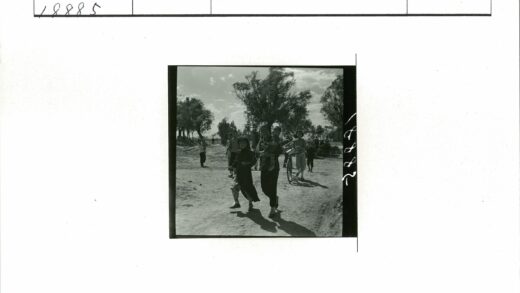 阳光树影土路行人.jpg