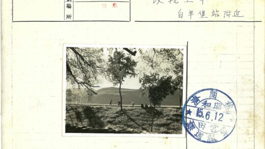 阳光树影山径行人.jpg