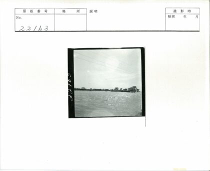 阳光水面电线树影.jpg
