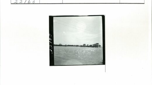 阳光水面电线树影.jpg