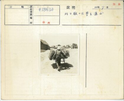 阳光沙路推干草车乡村景.jpg