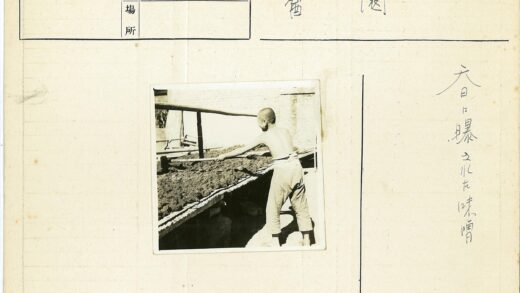 阳光男孩户外铲土工作.jpg