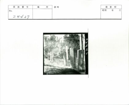 阳光石柱林间风景.jpg