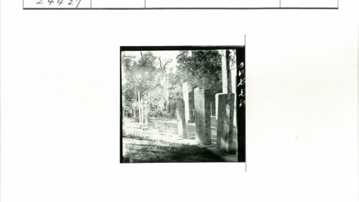 阳光石柱林间风景.jpg
