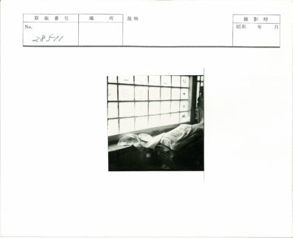 阳光窗台杂物生活片段.jpg