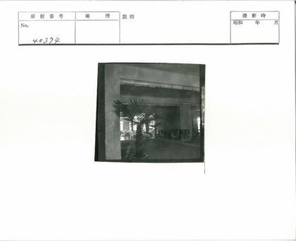 阳光窗景盆栽棕榈室内设计.jpg