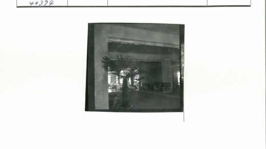 阳光窗景盆栽棕榈室内设计.jpg