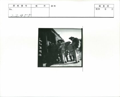 阳光站台旅客登火车.jpg