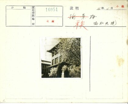 阳光绿荫中的传统建筑.jpg