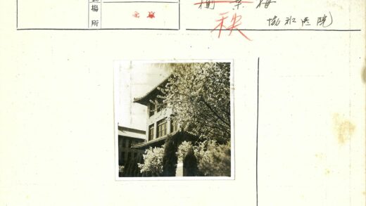 阳光绿荫中的传统建筑.jpg