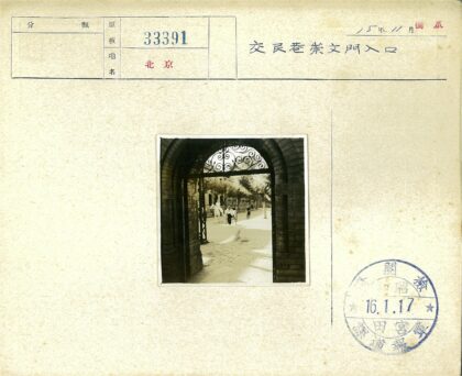 阳光街景白马黄包车自行车.jpg